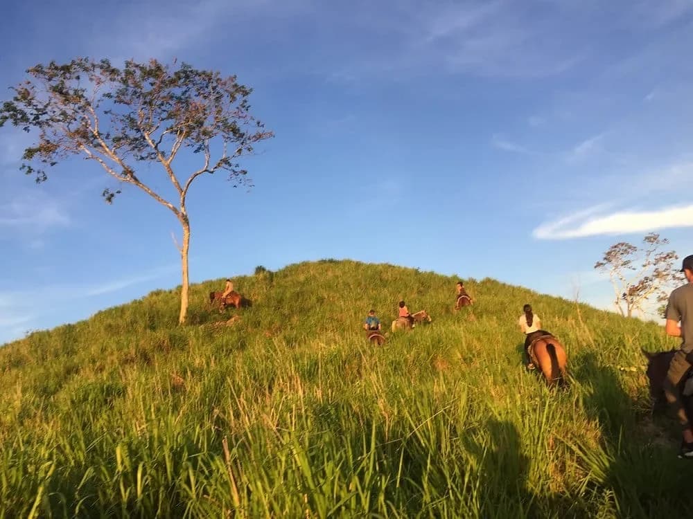 Martz farm horseback riding