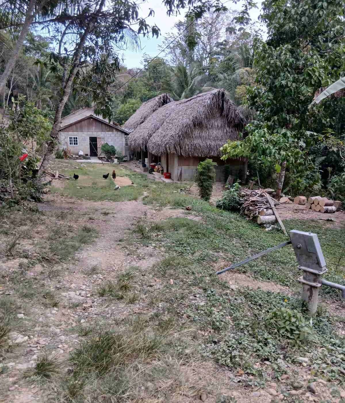 Belize travel scene featuring San Antonio TEA