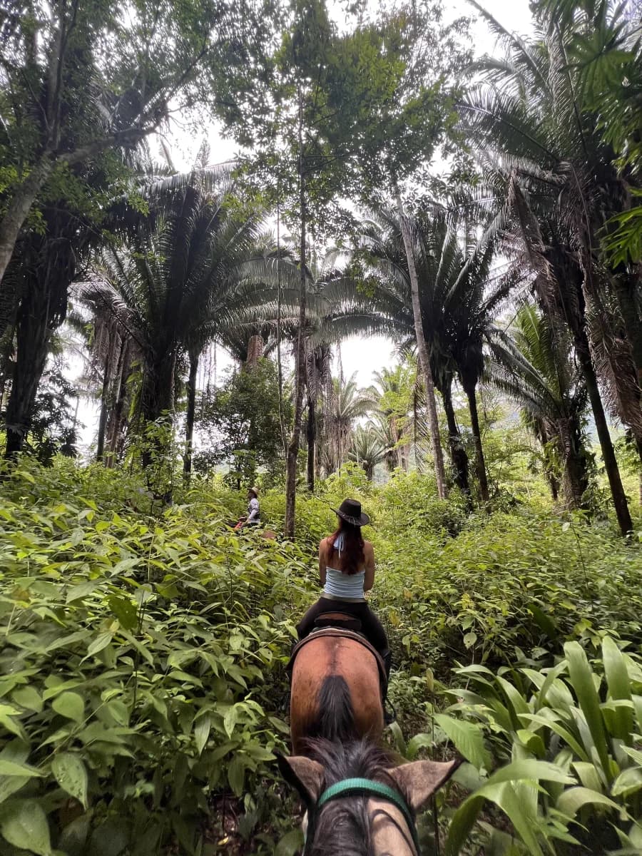 Mountain View Ranch, Belize