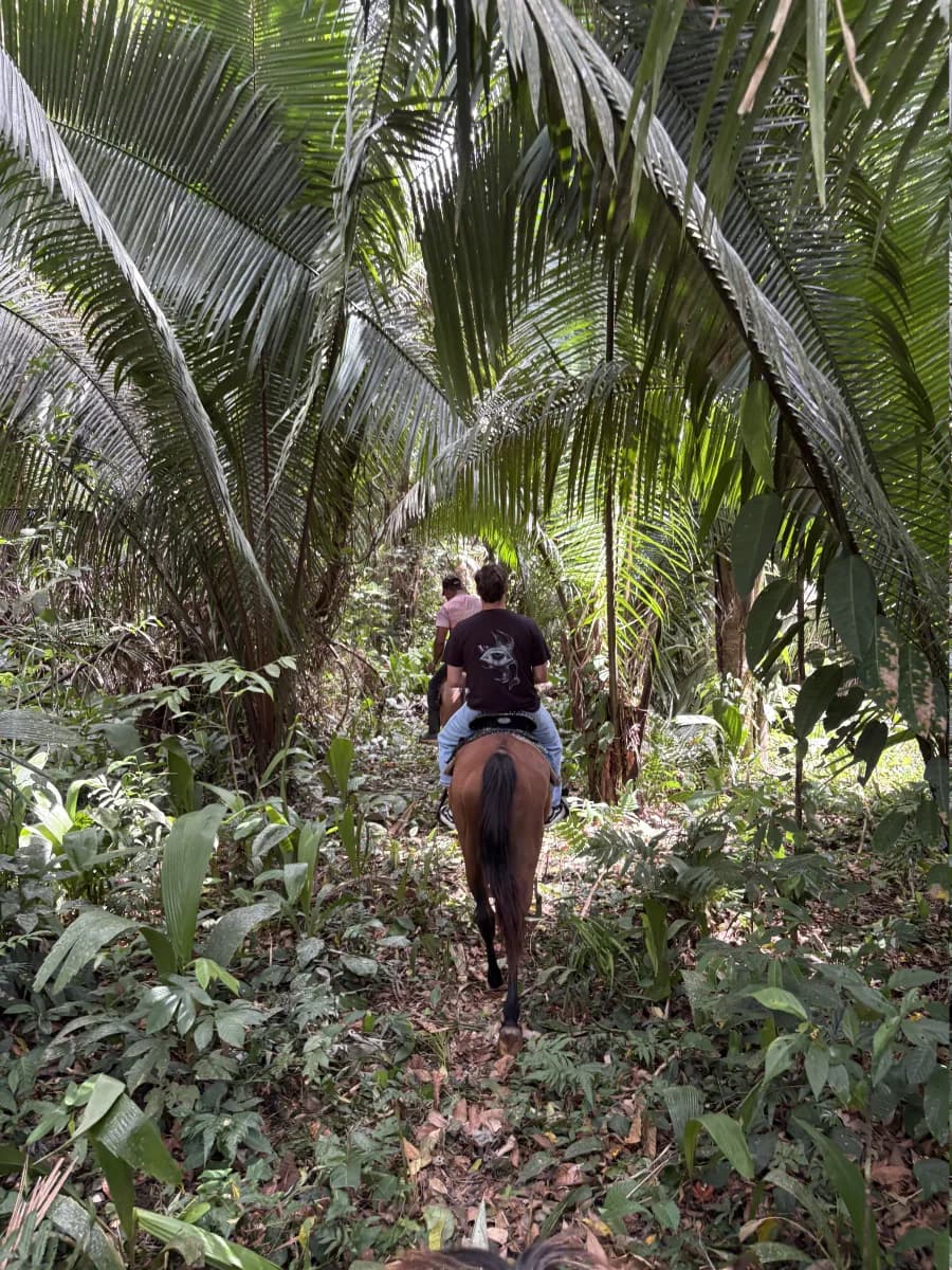 Mountain View Ranch, Belize