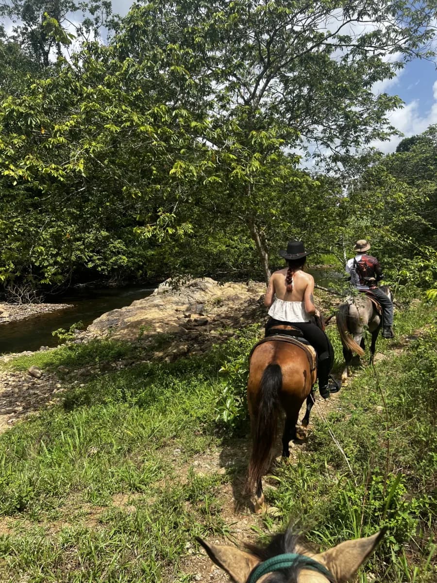 Mountain View Ranch, Belize