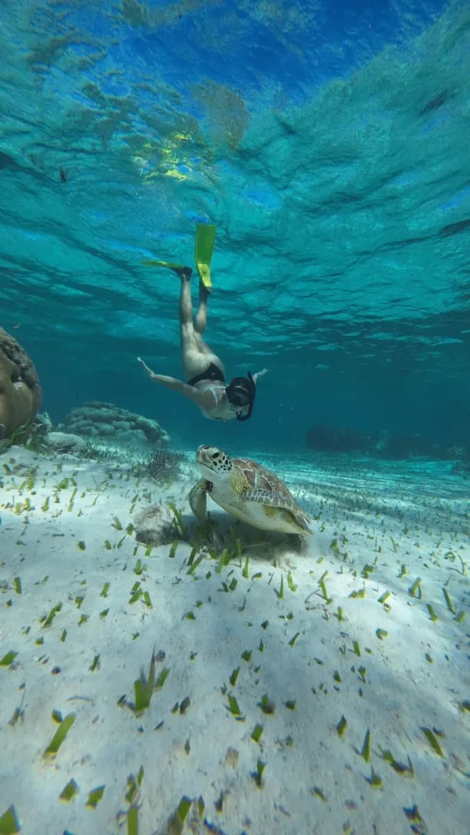 White Sands Dive Shop diving