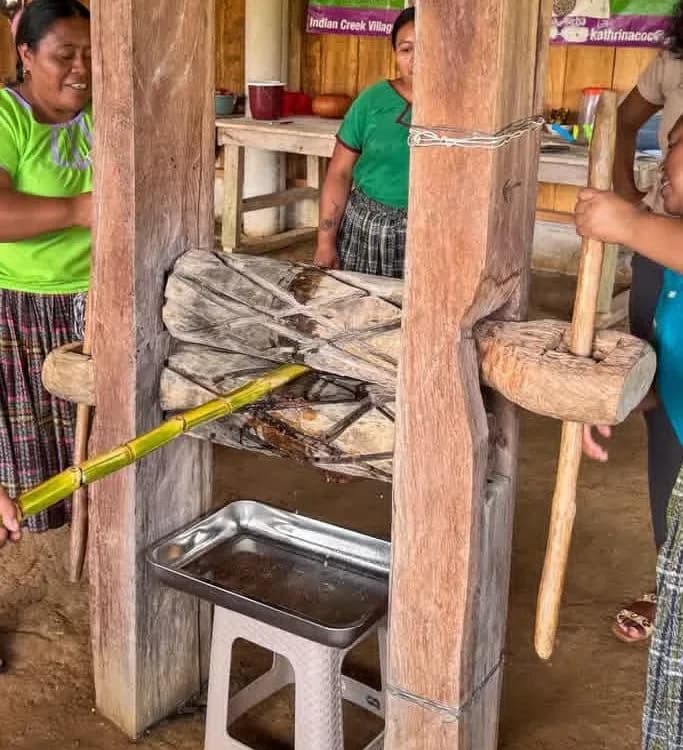 Indian Creek Maya Arts Women's Group- Sugarcane Extraction