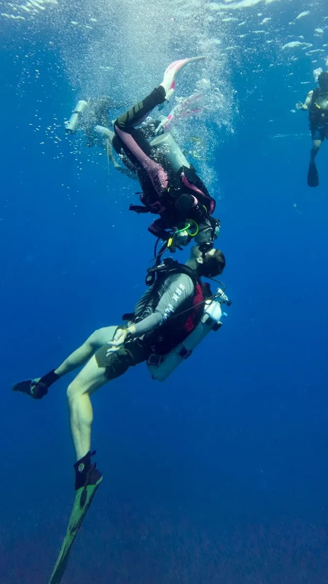White Sands Dive Shop couple snorkeling kissing