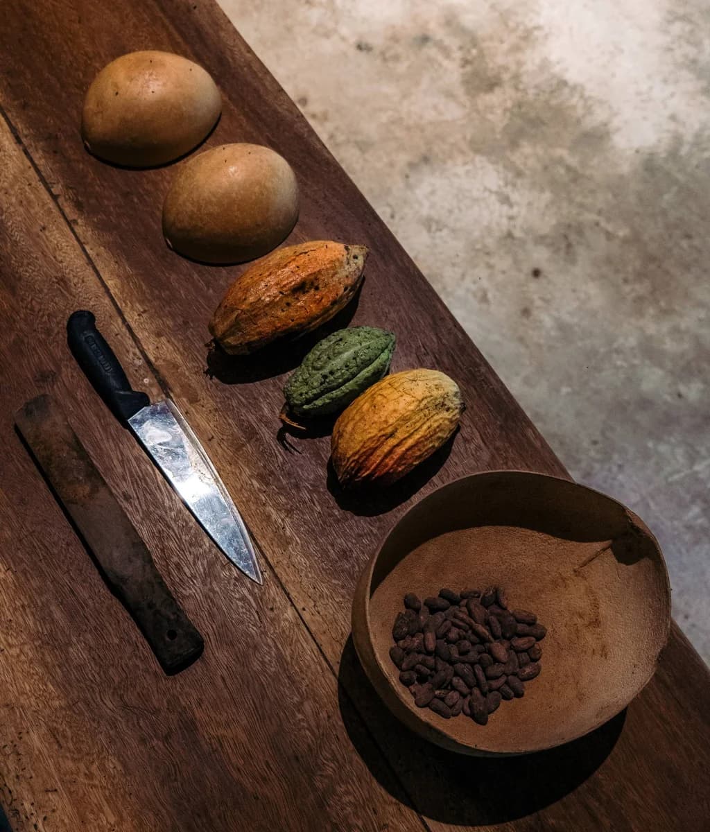 IXCACAO Maya Belizean Chocolate