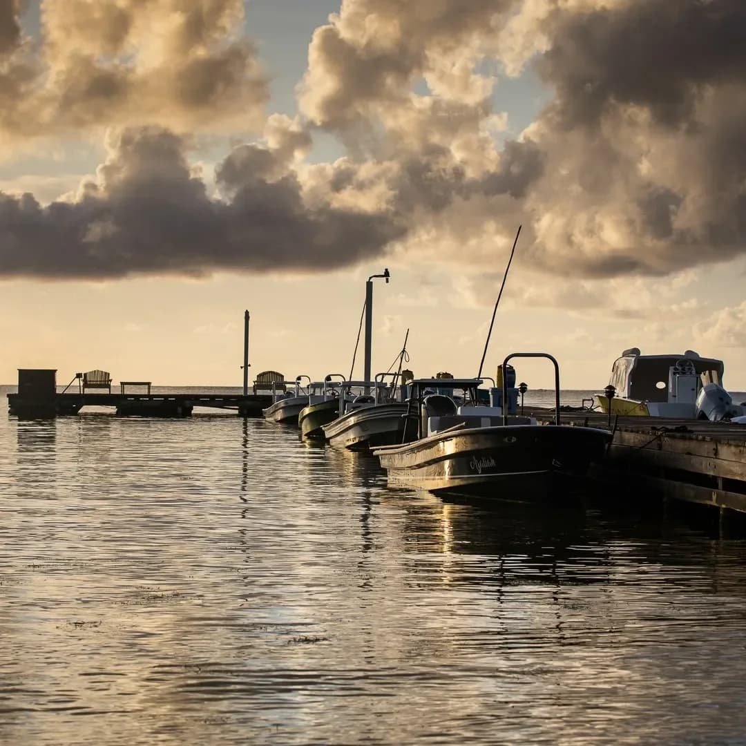 El pescador