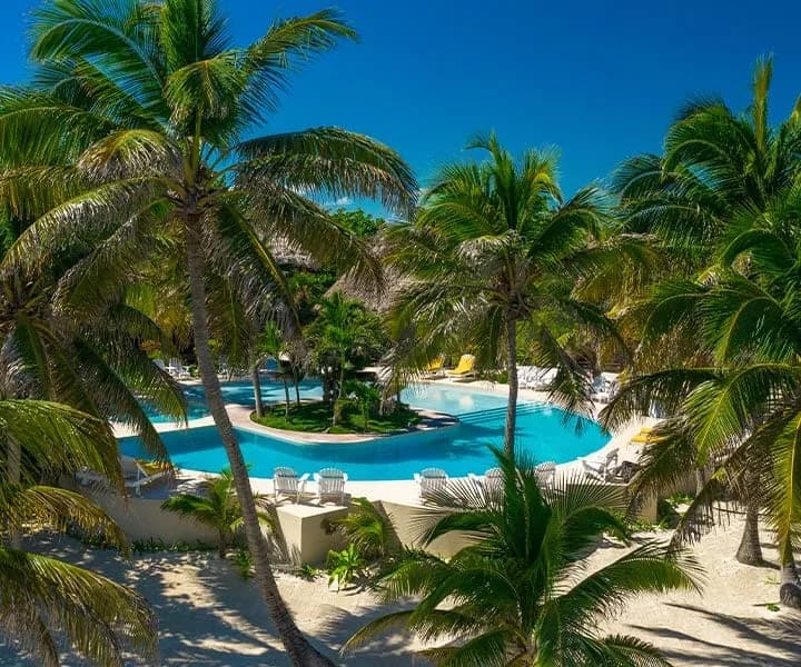 Palm-shaded free-form swimming pool at Portofino Beach Resort on Ambergris Caye