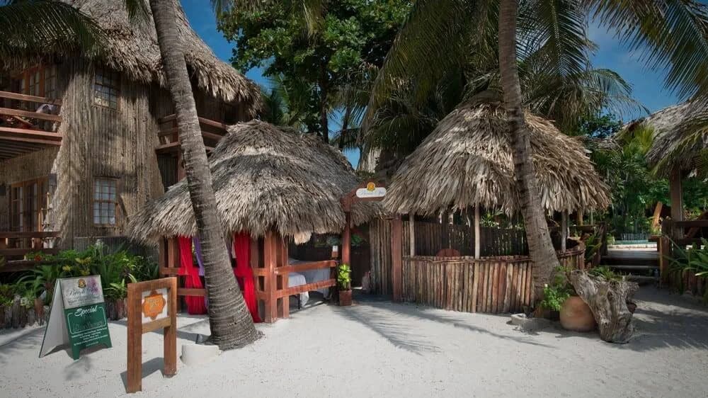 Sandy pathway between thatched-roof spa cabanas shaded by palm trees at Ramon's Village Resort, Belize