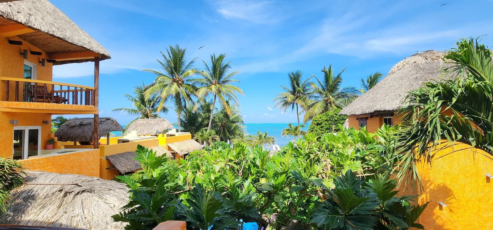 Caribbean Sea view from a rooftop terrace at Seaside Cabanas, framed by palm trees and thatched cabana roofs