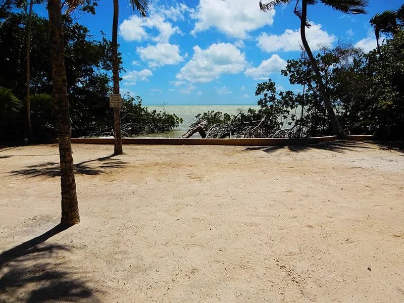 Private beach access framed by palm trees and mangroves looking out over Corozal Bay at Serenity Sands