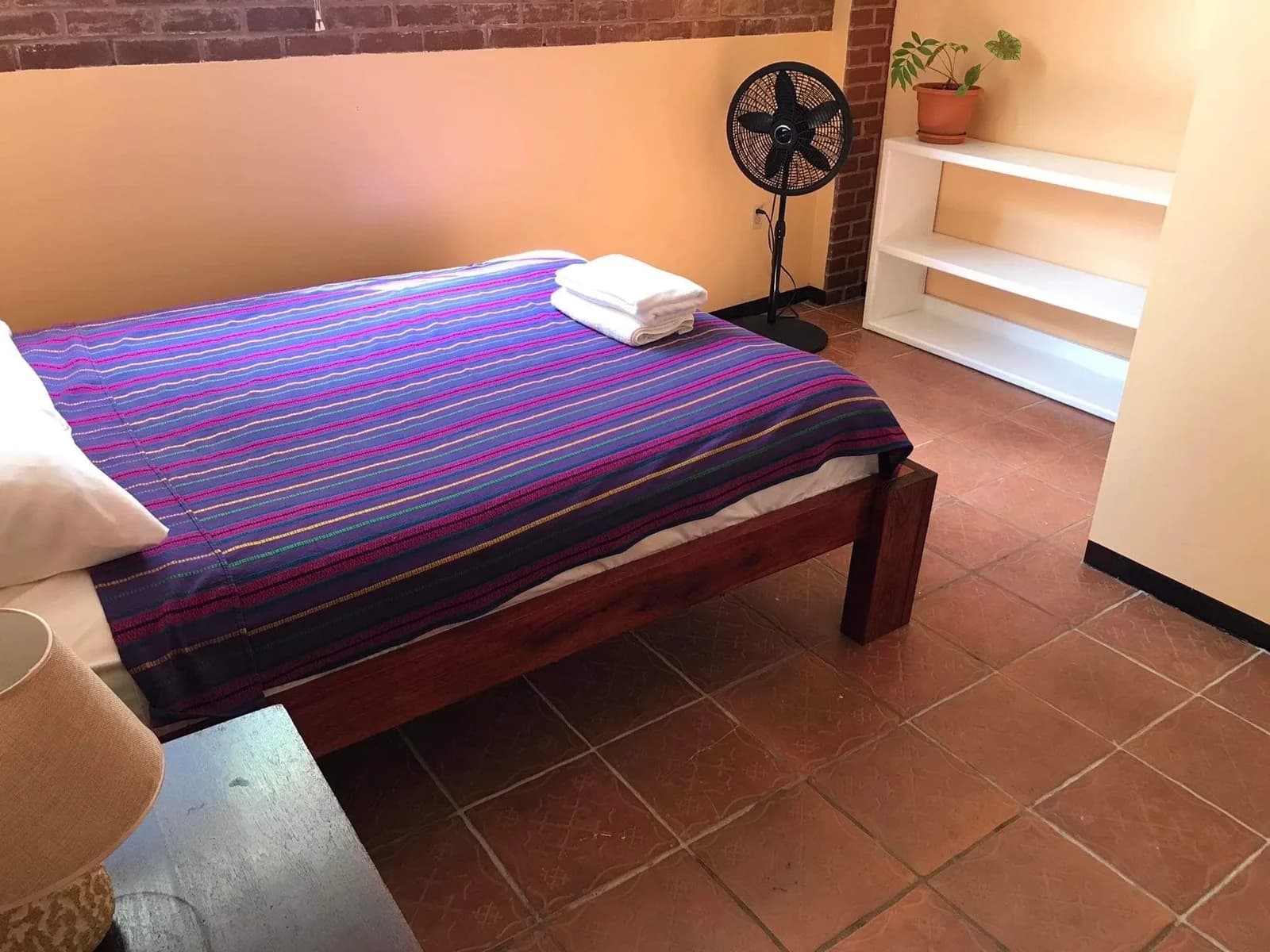 Private room with a striped bedspread and standing fan at Yellow Belly Backpackers, San Ignacio, Belize