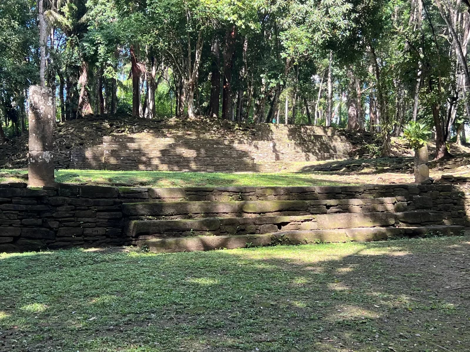 Low stone platforms and plaza beneath tall trees at Nim Li Punit, Toledo District, Belize
