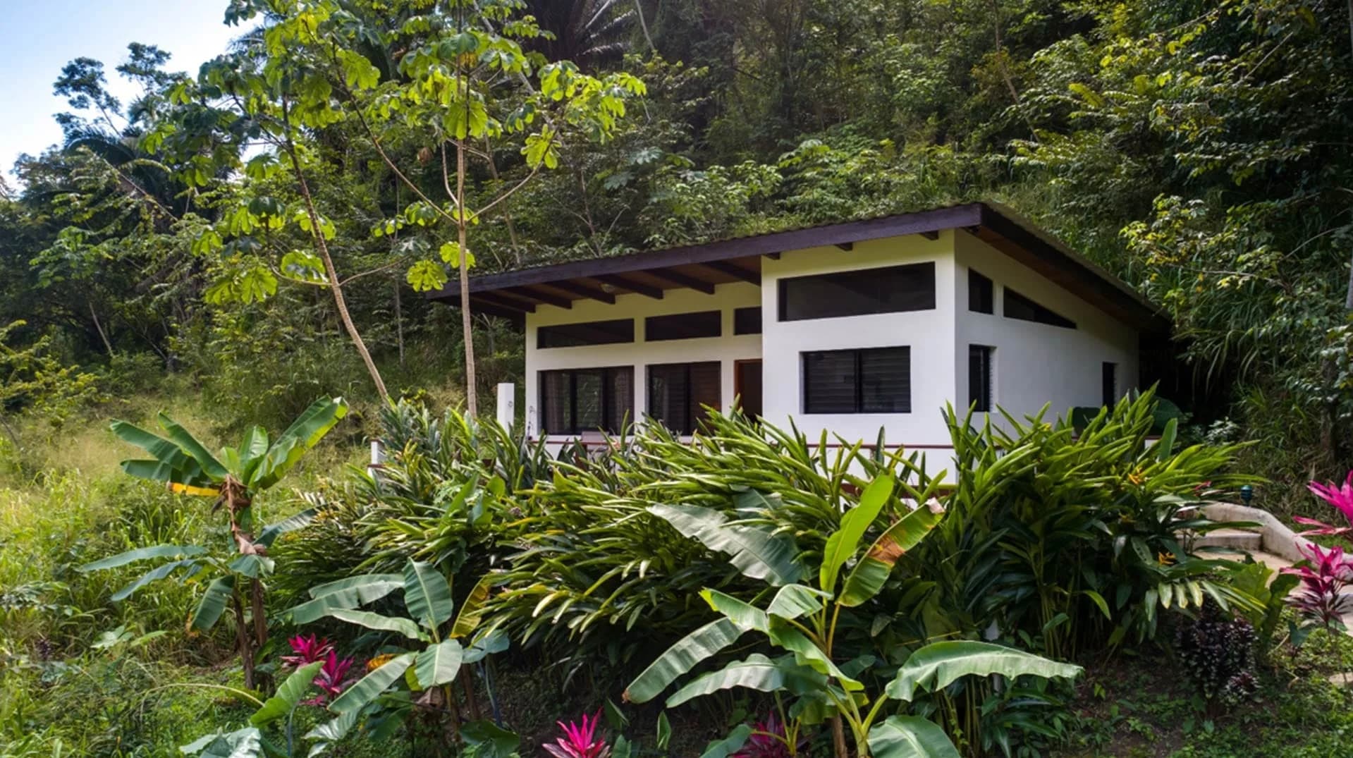 Exterior of a Black Rock Lodge jungle cabin with a peaked wood-beamed roof and full-length windows, surrounded by rainforest