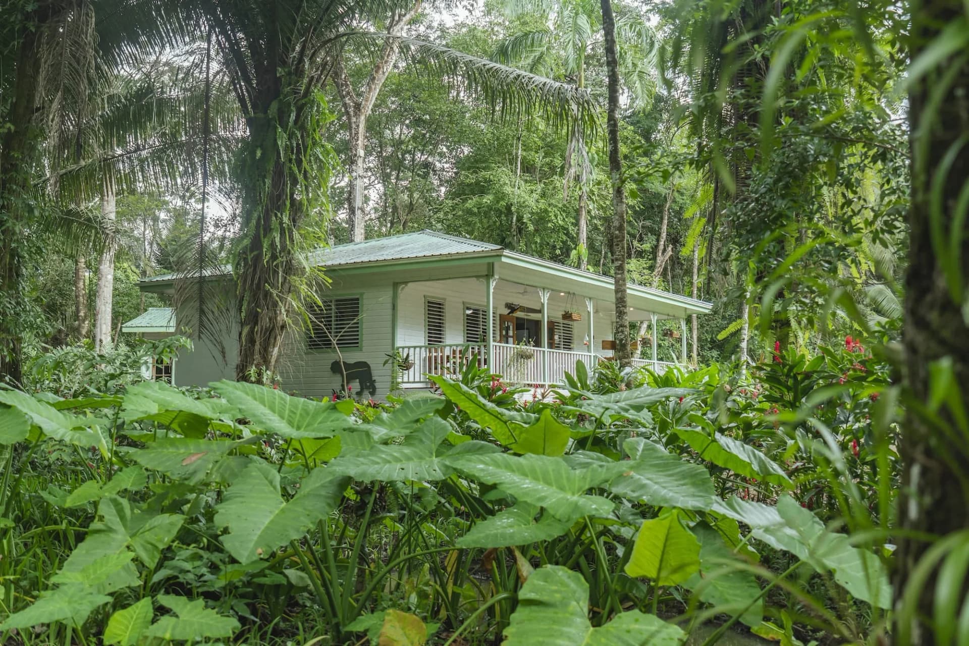 Green and white cottage with wraparound verandah surrounded by rainforest at Hickatee Cottages, Punta Gorda, Belize