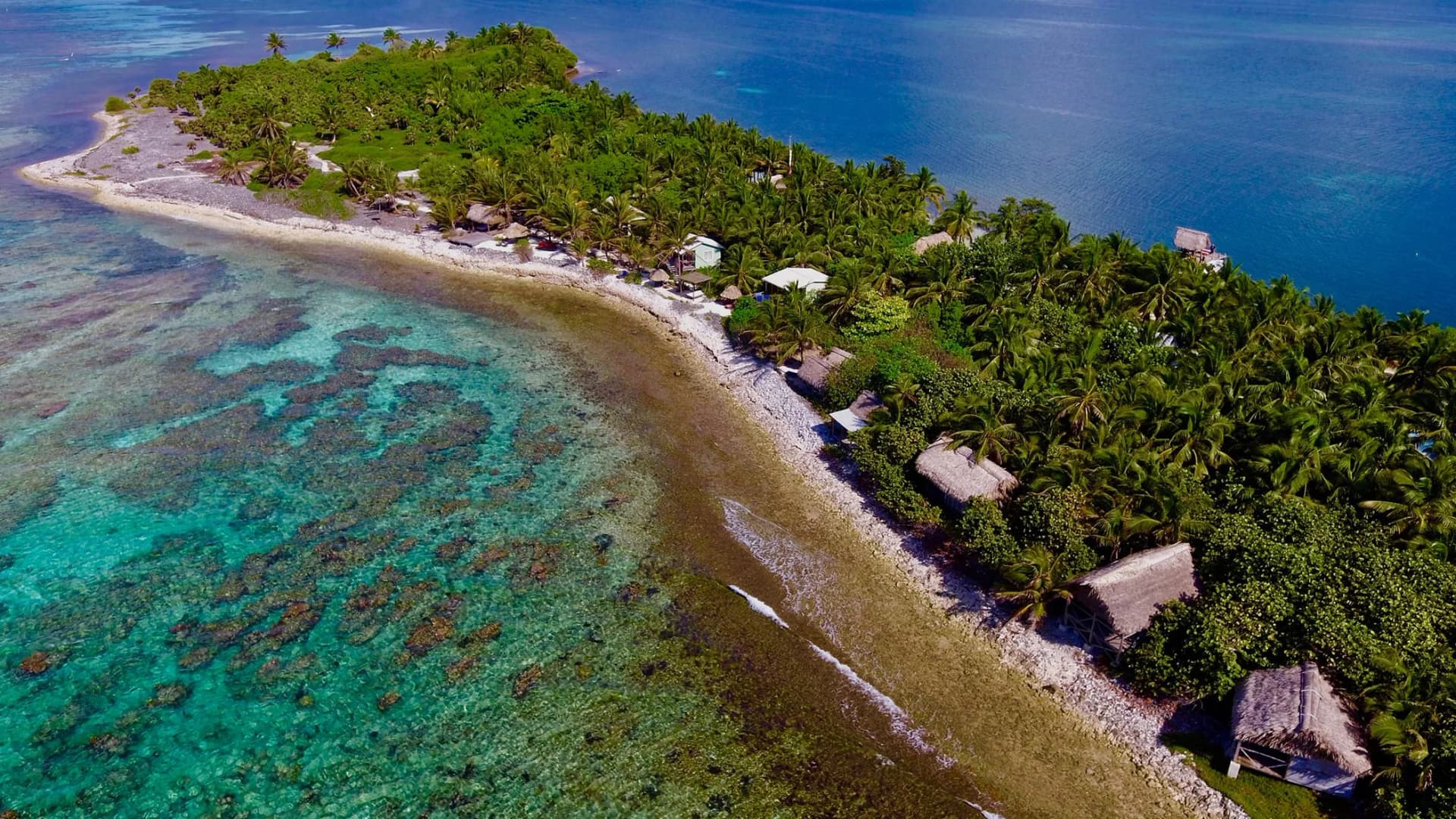 Aerial view of Off The Wall Dive Center & Resort's thatched cabanas lining the shore of Long Caye, Glover's Reef Atoll