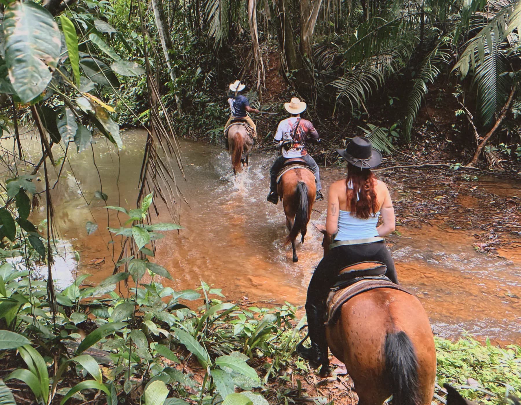 Belize travel scene featuring Mountain View Ranch