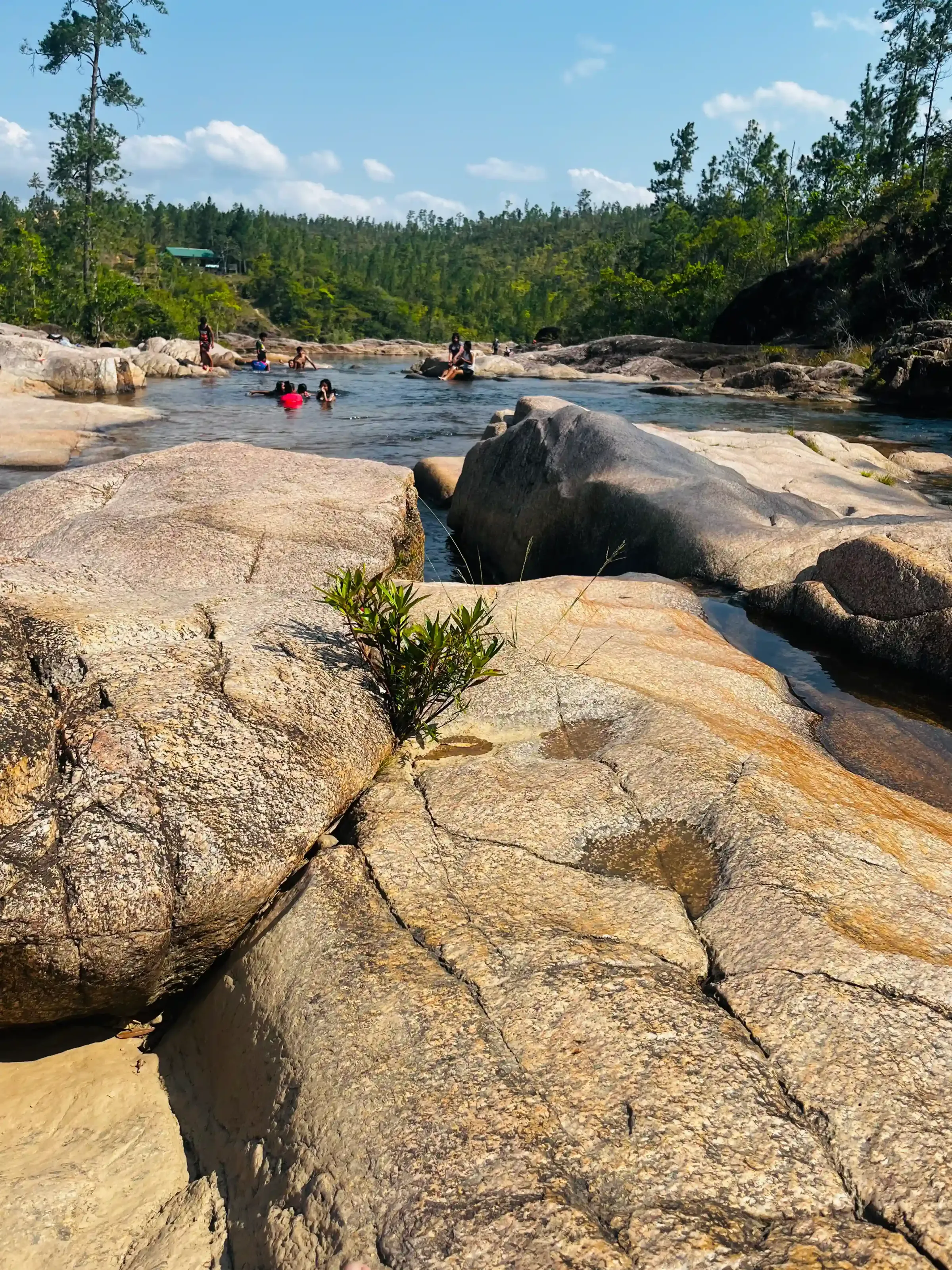 Rio on Pool, Mountain Pine Ridge, Belize