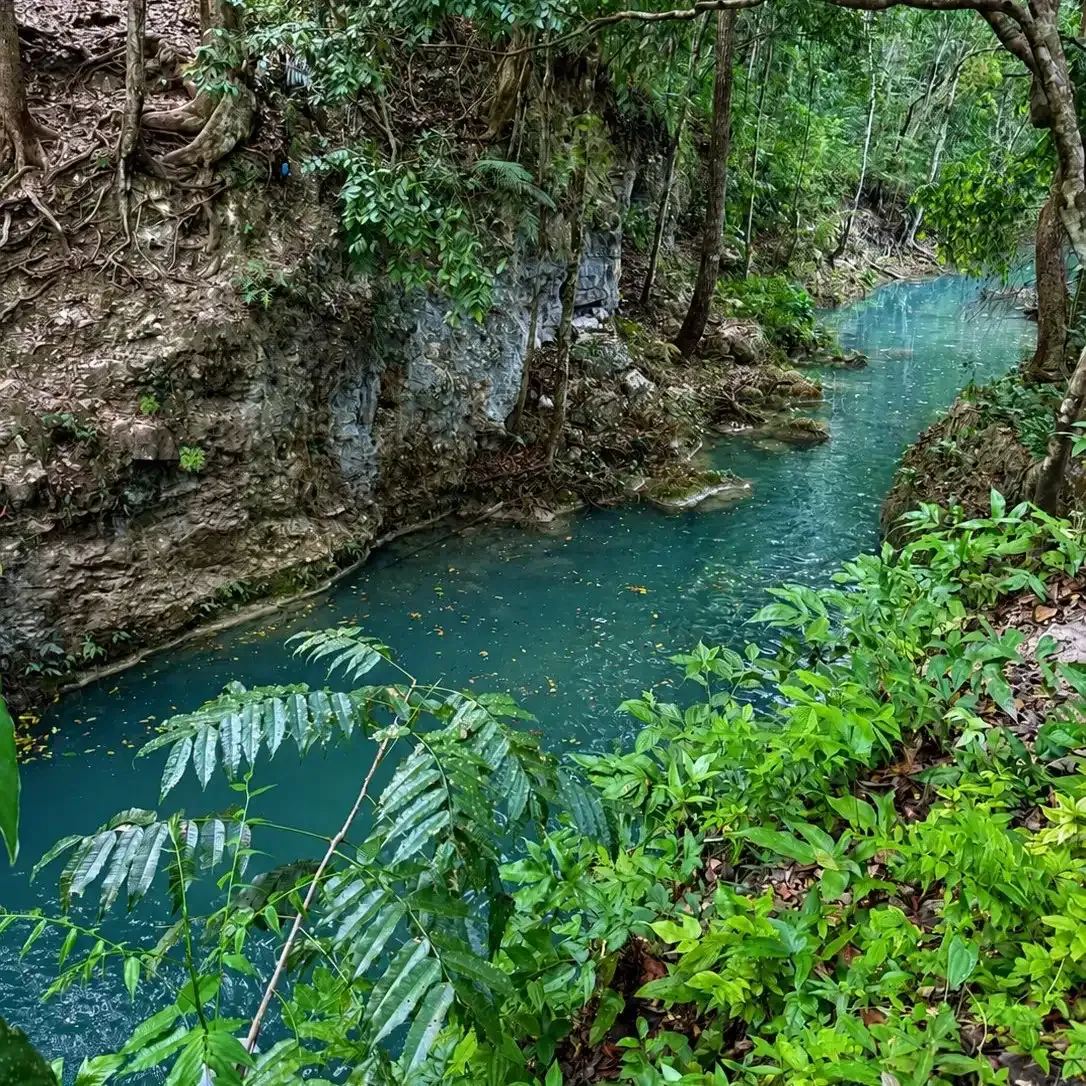 Monkey Falls- Cristo Rey, Belize