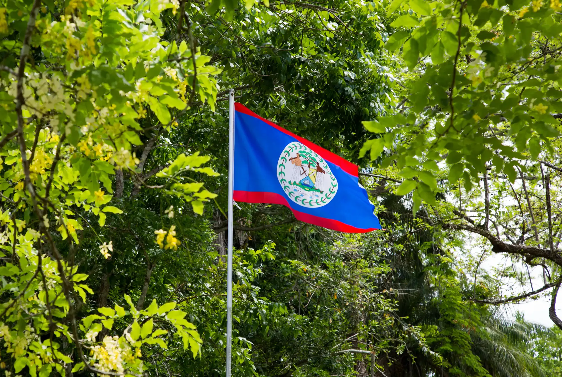 Belize Journal
