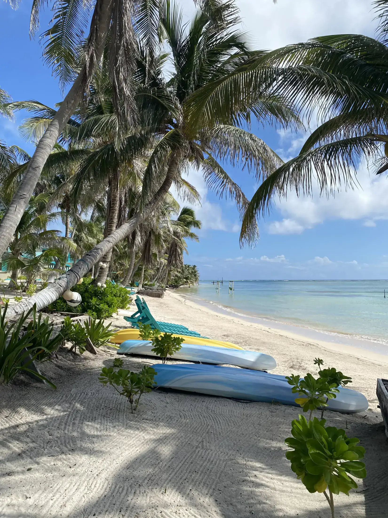 Belize travel scene featuring Health & Safety planning guide in Belize